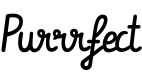 Business Owner Financial Advisor Logo